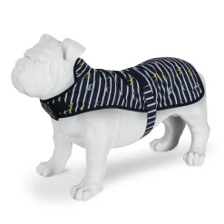 Regatta Dog Coats|Camping<Arlo Waterproof Dog Coat |