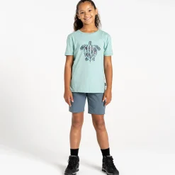 Kids Regatta Tops & T-Shirts|Festival<Dare 2b - Kids' Trailblazer II T-Shirt |