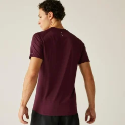 Regatta T-Shirts|Gym Tops<Dare 2b - Men's Accelerate Fitness T-Shirt |