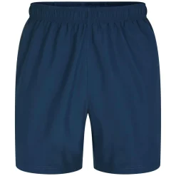 Regatta Shorts<Dare 2b - Men's Surrect Lightweight Shorts |