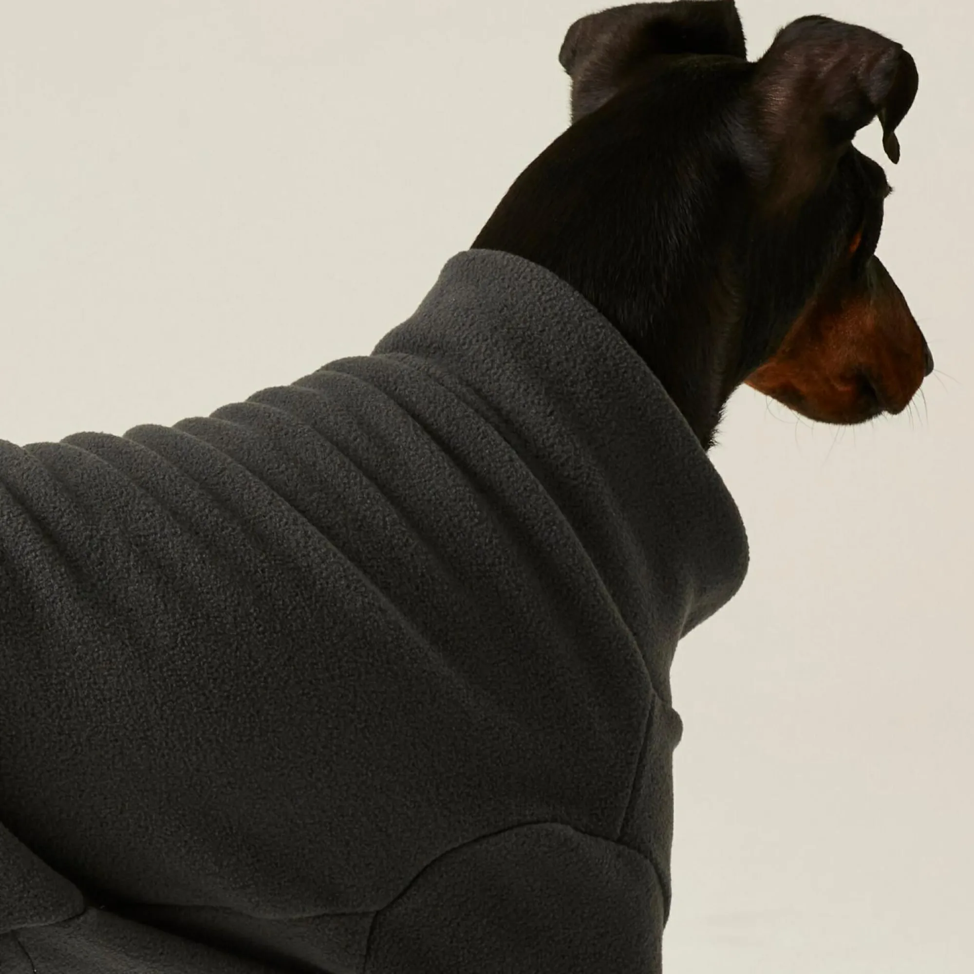 Regatta Dog Coats|Camping<Dog Mud Suit |