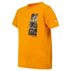 Kids Regatta Tops|Tops & T-Shirts<Kids' Alvarado IX T-Shirt |
