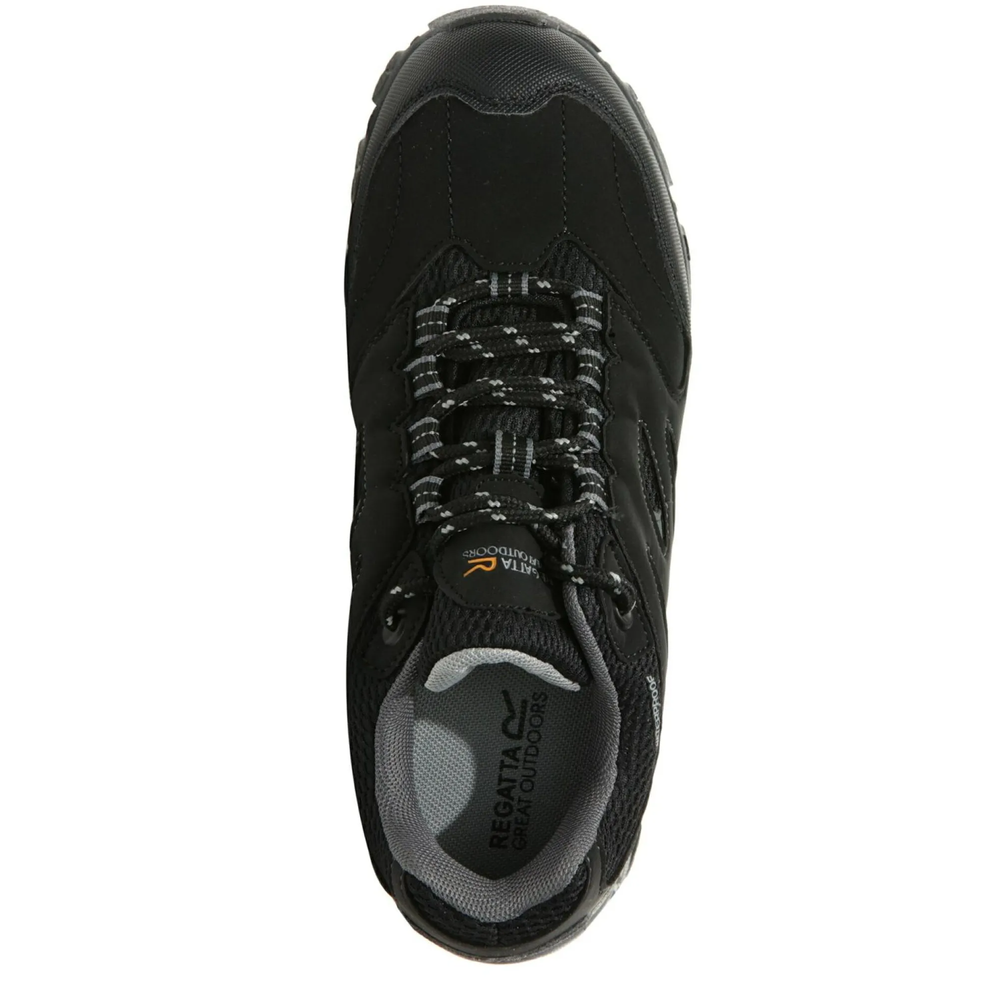 Kids/BOY Regatta Footwear|Footwear<Kids' Holcombe Waterproof Low Walking Shoes |