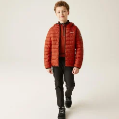 Kids/BOY Regatta Jackets & Coats<Kids' Hooded Marizion Baffled Jacket |