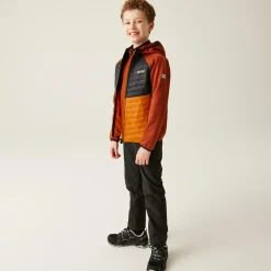 Kids/BOY Regatta Jackets & Coats<Kids' Kielder Hybrid VIII Jacket |