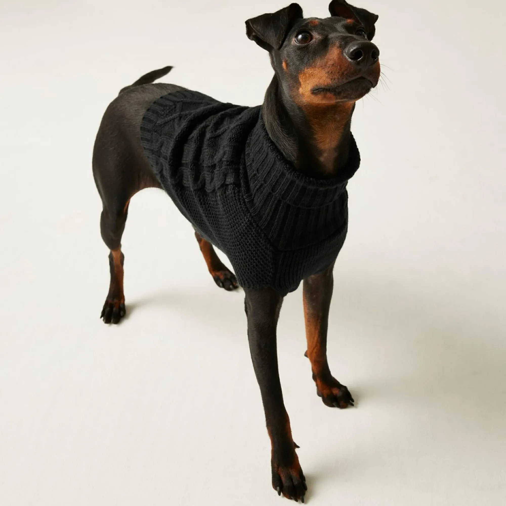 Regatta Dog Coats|Camping<Knitted Dog Jumper |