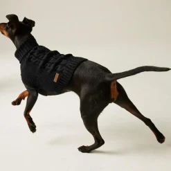 Regatta Dog Coats|Camping<Knitted Dog Jumper |