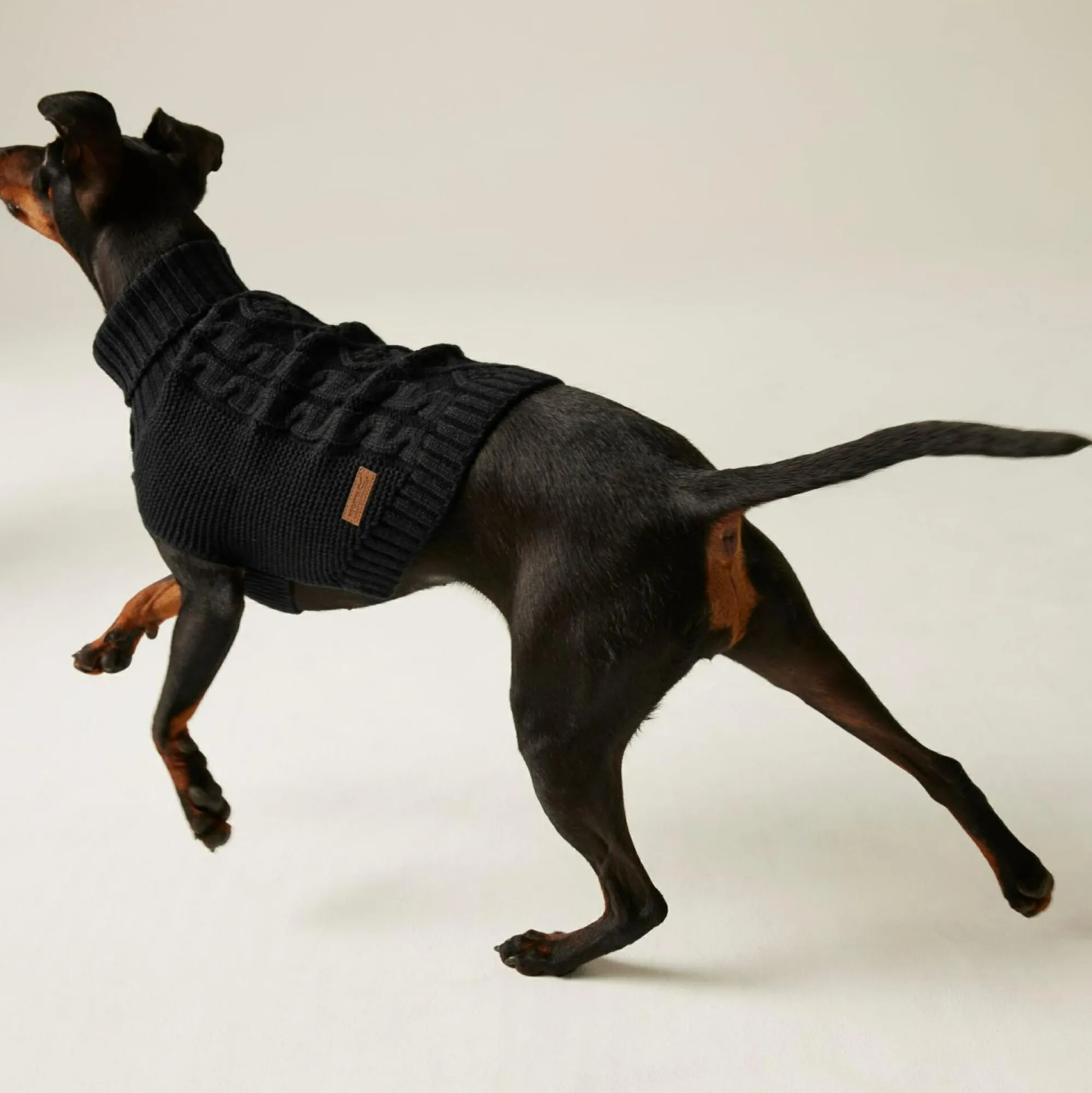 Regatta Dog Coats|Camping<Knitted Dog Jumper |