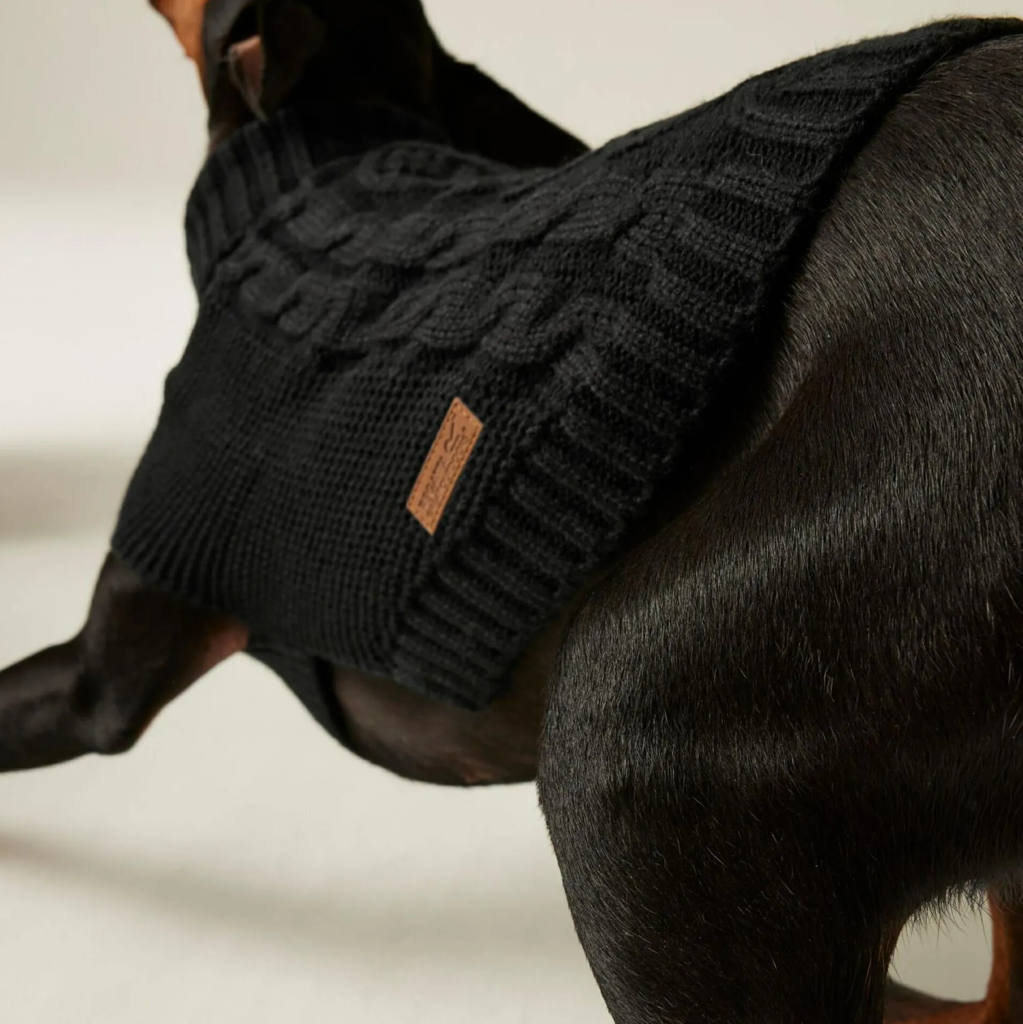 Regatta Dog Coats|Camping<Knitted Dog Jumper |