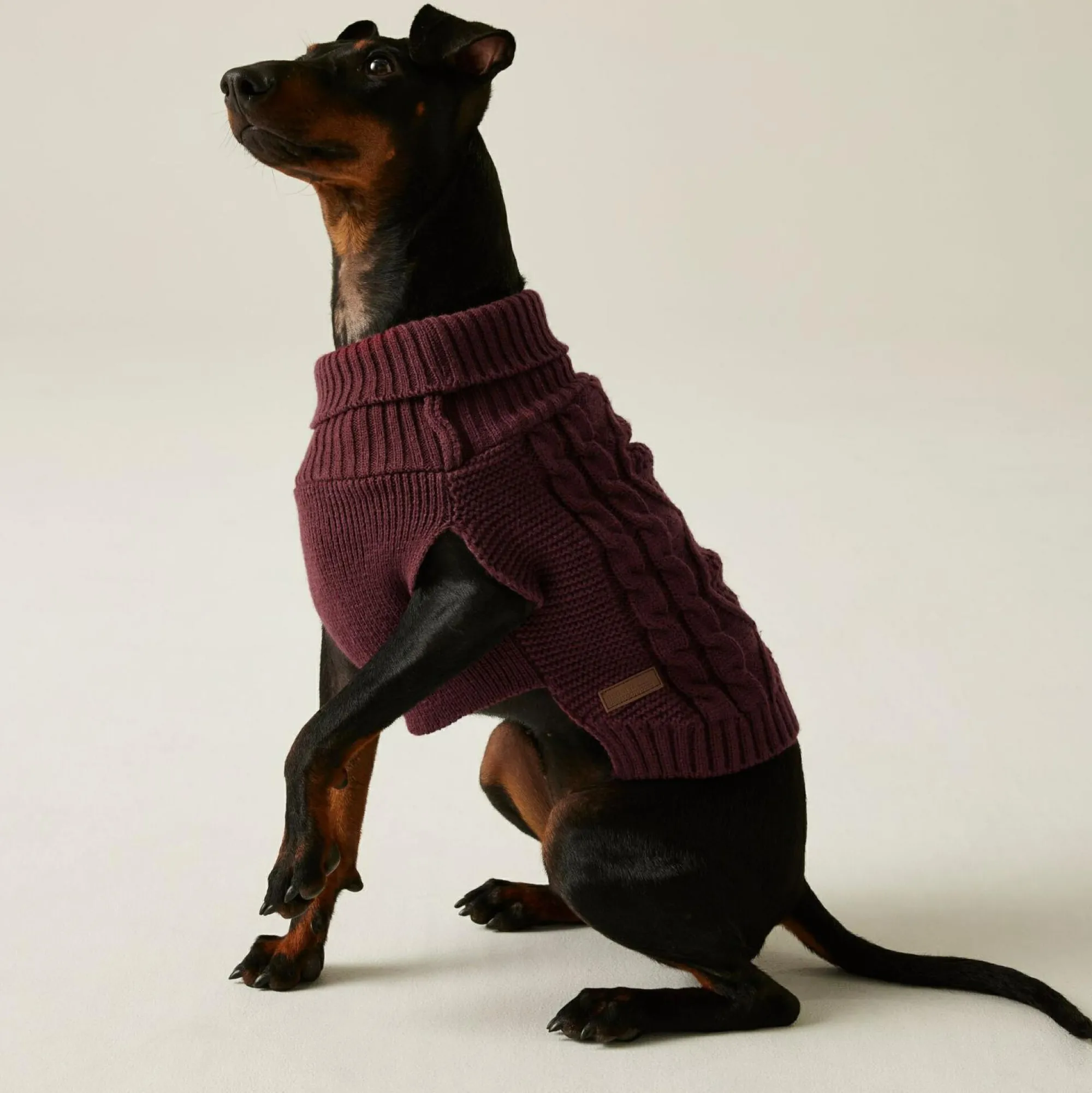 Regatta Dog Coats|Camping<Knitted Dog Jumper |