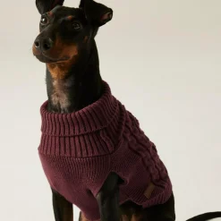 Regatta Dog Coats|Camping<Knitted Dog Jumper |