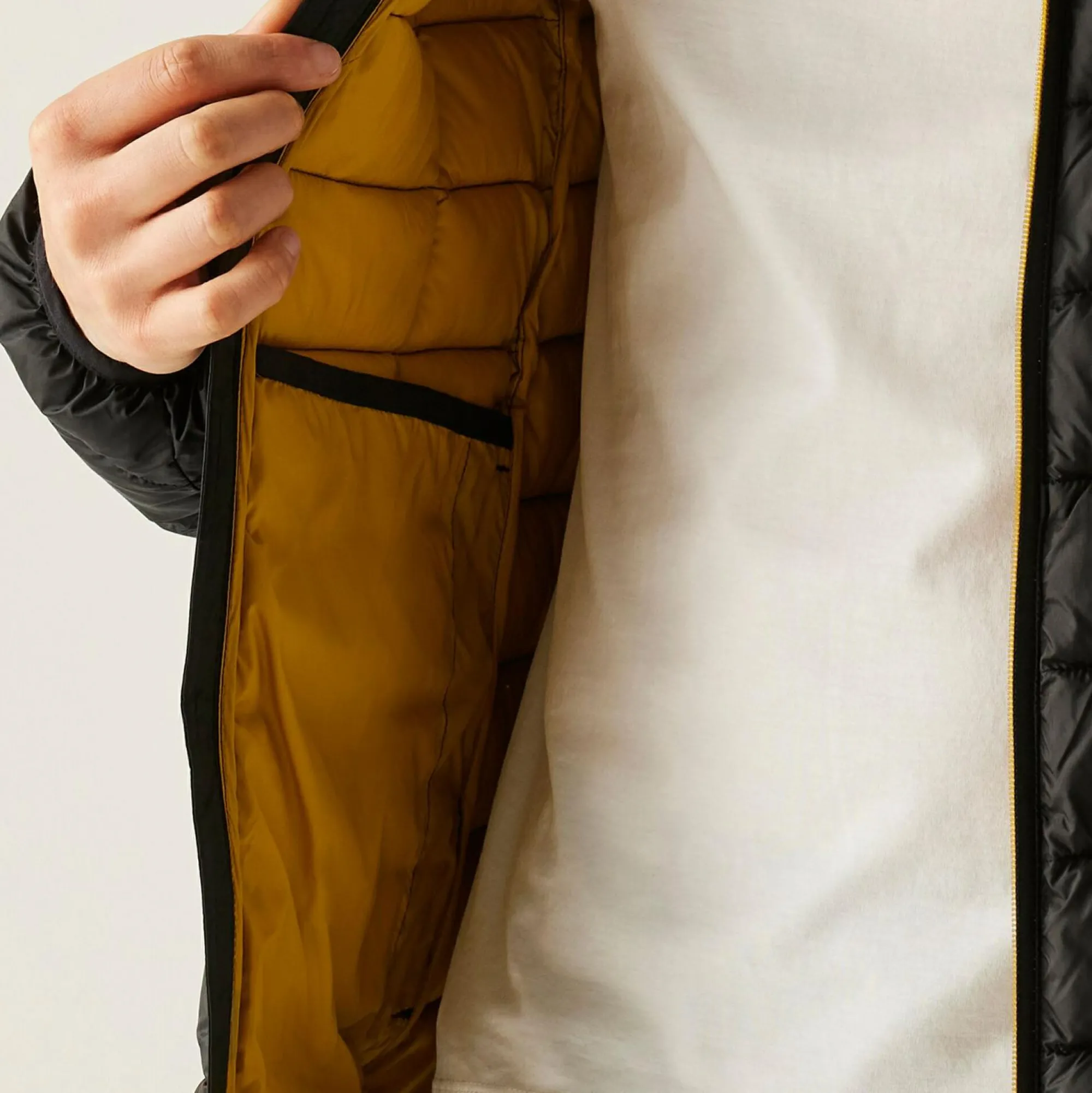 Regatta Padded Jackets<Men's Asper Padded Jacket |