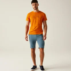 Regatta Staycation|Festival<Men's Bendrick Shorts |