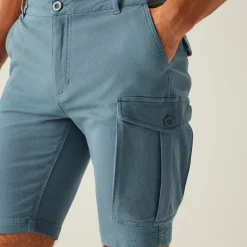 Regatta Staycation|Festival<Men's Bendrick Shorts |