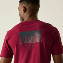 Regatta T-Shirts<Men's Cline IX T-Shirt |