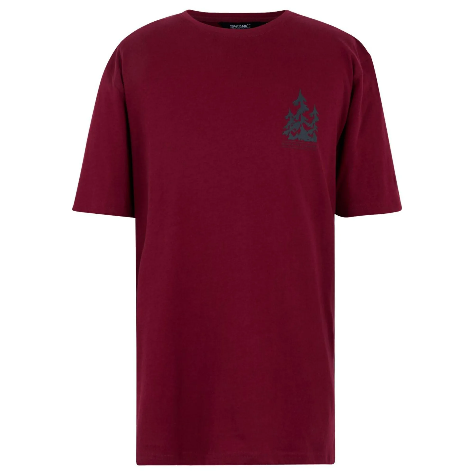 Regatta T-Shirts<Men's Cline IX T-Shirt |