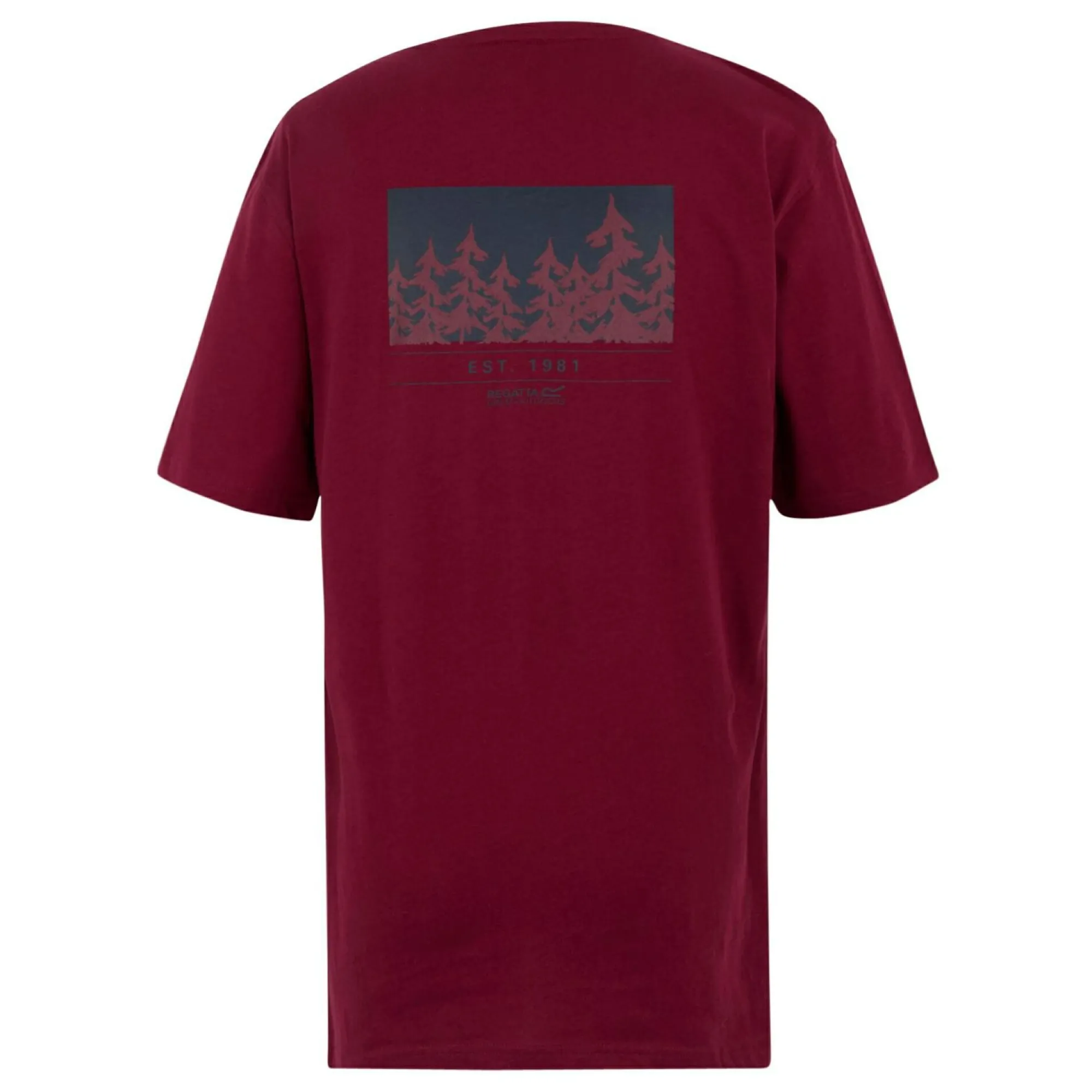 Regatta T-Shirts<Men's Cline IX T-Shirt |