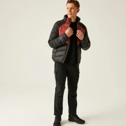 Regatta Padded Jackets<Men's Dalent Padded Jacket |