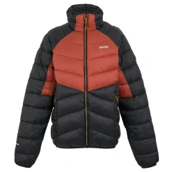 Regatta Padded Jackets<Men's Dalent Padded Jacket |