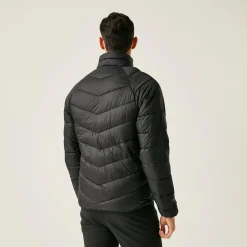 Regatta Padded Jackets<Men's Dalent Padded Jacket |