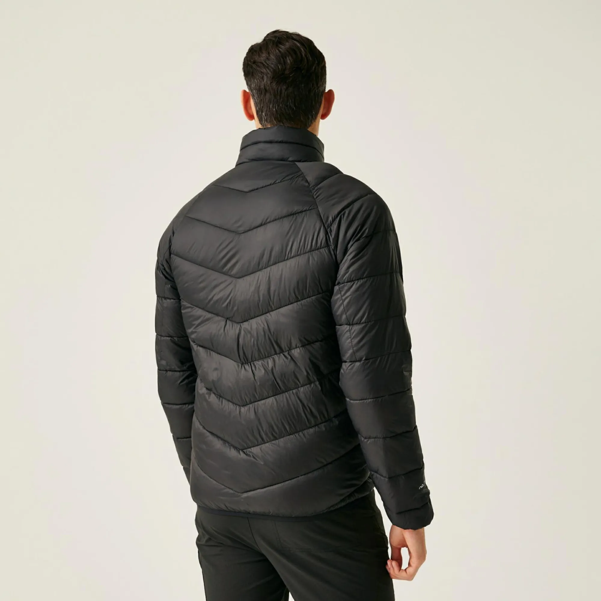 Regatta Padded Jackets<Men's Dalent Padded Jacket |