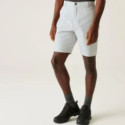 Regatta Shorts|Shorts<Men's Dalry Multi Pocket Shorts |