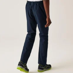 Regatta Waterproof Trousers|Walking Trousers<Men's Dayhike Waterproof Trousers IV |