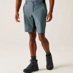 Regatta Staycation|Shorts<Men's Eldes Walking Shorts  |