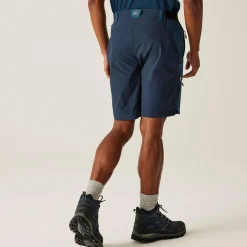 Regatta Staycation|Festival<Men's Eldes Walking Shorts  |