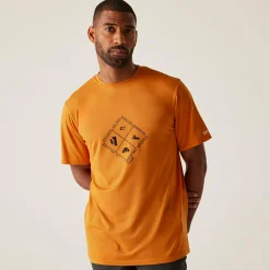 Regatta Festival<Men's Fingal Stretch T-shirt |