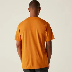 Regatta Festival<Men's Fingal Stretch T-shirt |