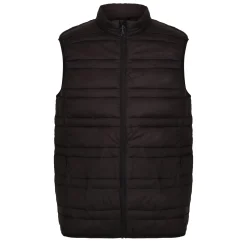 Regatta Body Warmers<Men's Firedown Down Touch Insulated Bodywarmer |