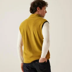 Regatta Gilets & Bodywarmers<Men's Frankie Fleece Gilet |