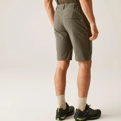 Regatta Shorts|Festival<Men's Highton II Long Walking Shorts  |