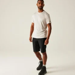 Regatta Shorts|Festival<Men's Highton II Long Walking Shorts  |
