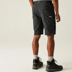 Regatta Staycation|Festival<Men's Highton II Long Walking Shorts  |