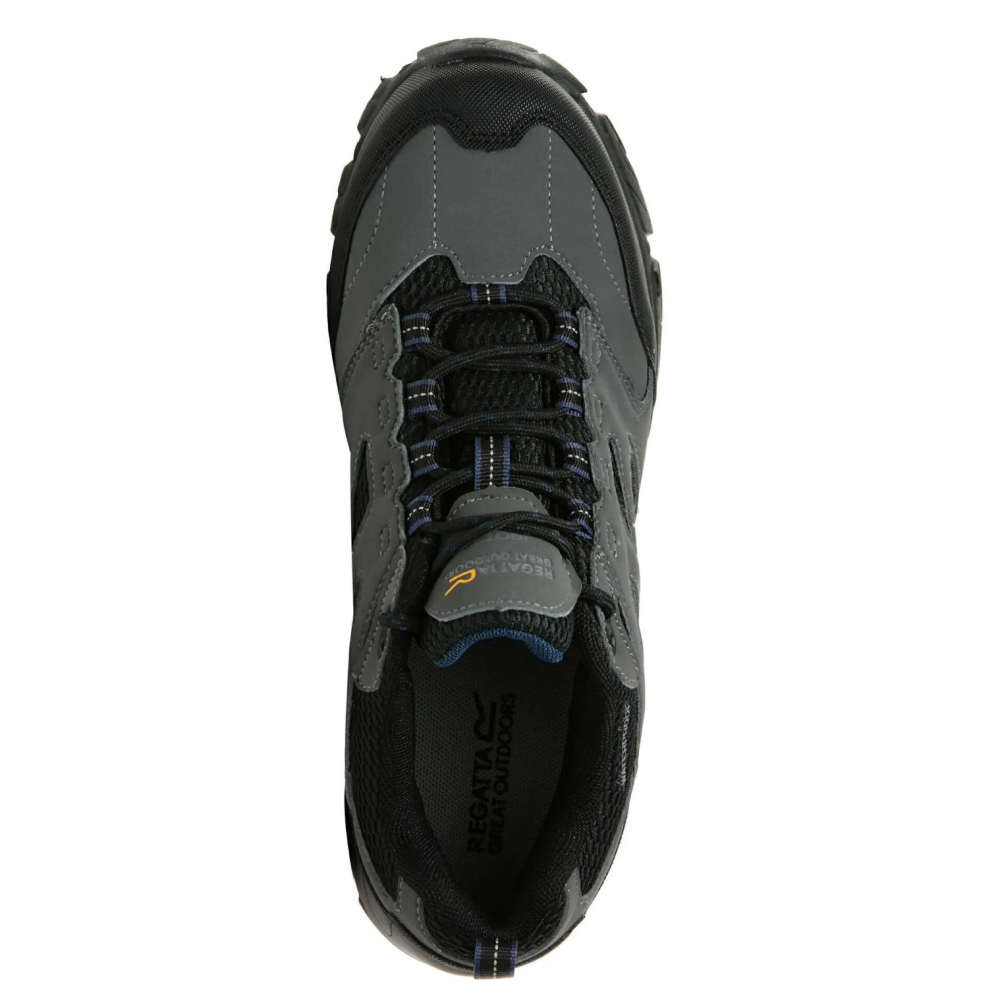 Regatta Walking Shoes<Men's Holcombe Waterproof Low Walking Shoes |