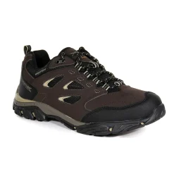 Regatta Walking Shoes<Men's Holcombe Waterproof Low Walking Shoes |