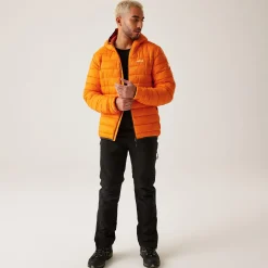 Regatta Padded Jackets|Lightweight Jackets<Men's Hooded Marizion Padded Jacket |