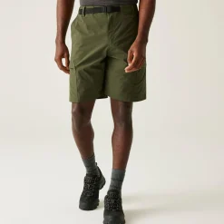 Regatta Staycation|Festival<Men's Mallen Shorts |