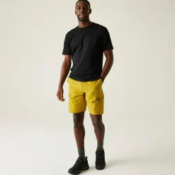 Regatta Staycation|Shorts<Men's Mallen Shorts |