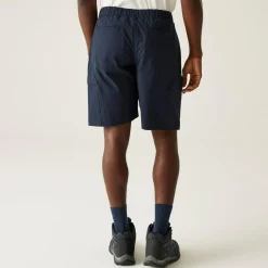 Regatta Staycation|Festival<Men's Mallen Shorts |