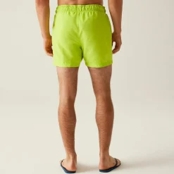 Regatta Festival|Swimming<Men's Mawson III Swim Shorts |