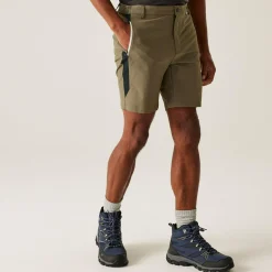 Regatta Shorts<Men's Mountain II Walking Shorts |