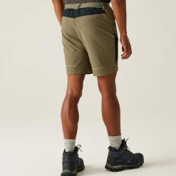 Regatta Shorts<Men's Mountain II Walking Shorts |