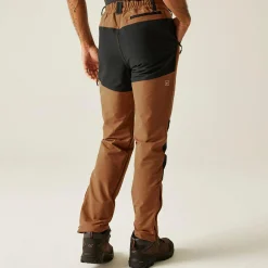 Regatta Walking Trousers<Men's Questra V Walking Trousers |